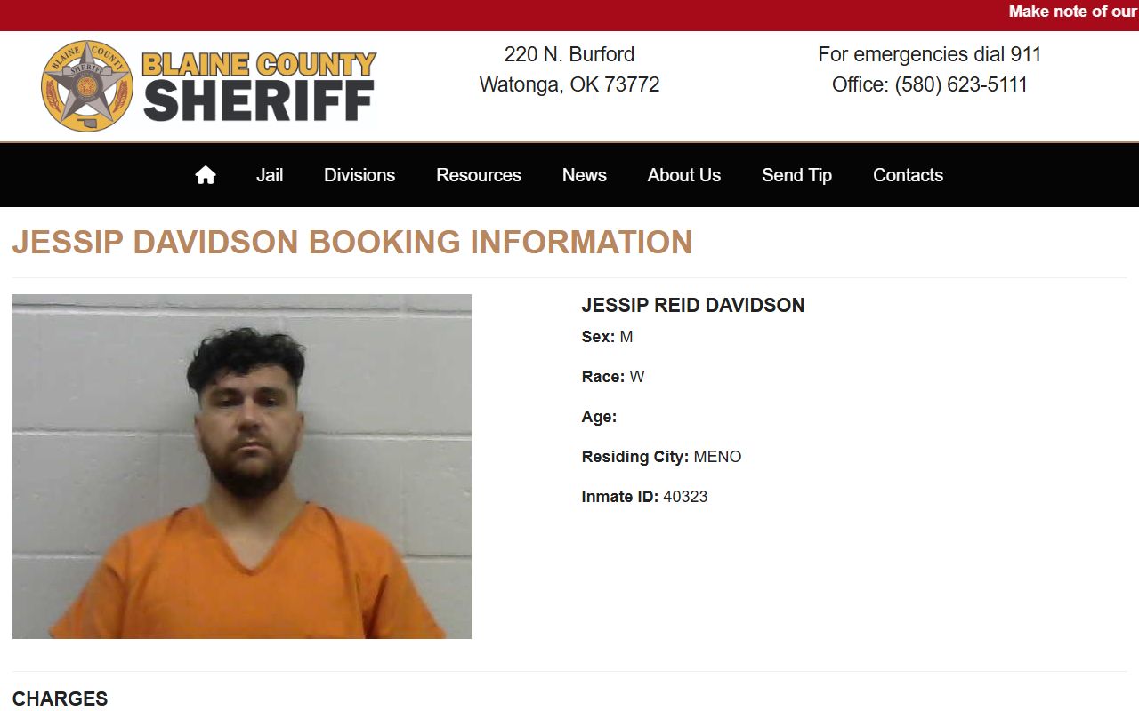 Blaine County inmate booking profile with mugshot and charges